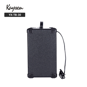 <span class=keywords><strong>Amplificatore</strong></span> per basso elettrico con altoparlanti da 30 Watt da 8 pollici, nero, arancione - Product Image 4