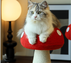 Zeliko Tiang Garukan Kucing Kayu Sisal Bentuk Jamur 4 Tingkat, Pohon Garukan Kucing Tahan Lama, Dikemas dalam Karton - Product Image 2