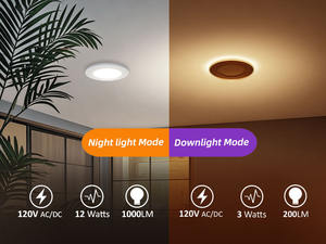 Fabrieksprijs 4 Inch Dimbaar <span class=keywords><strong>Led</strong></span> Inbouw Downlight Paneel 5 Cct Spot Verlichting Met Wafer Aanpassen Ontwerp Modern Nachtlampje - Product Image 6