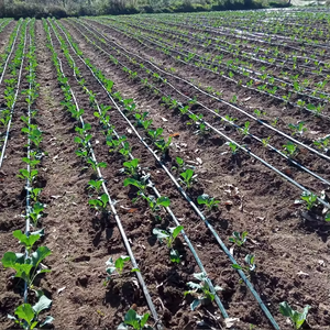 Tuyaux d'irrigation agricoles flexibles en PEHD à fusion bout à bout, diamètre <span class=keywords><strong>20</strong></span>-63 <span class=keywords><strong>mm</strong></span>, noirs, durée de vie 50 ans, 0,4-1,6 MPa, anti-corrosion - Product Image 5