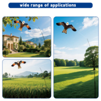 Cerfs-volants professionnels pour effrayer les oiseaux Nouveau modèle Hawk et Eagle 120x68cm en polyester avec cadre en fibre de verre pour une utilisation agricole
