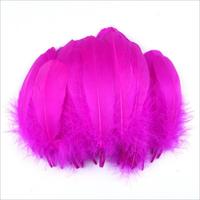 Plumes d'oie teintées pour artisanat, bricolage, stylos, coiffes, costumes, chapeaux, accessoires capillaires, carnaval, fête, mariage, décoration de Noël