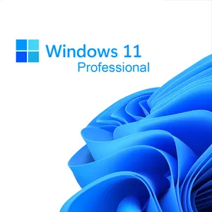 Windows 11 Pro Digitaler Schlüssel 100% Online-Aktivierung Windows 11 Profession eller Schlüssel-Code Versand per E-Mail