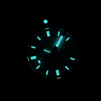 Montres de plongée automatiques pour hommes STEELDIVE SD1967, fabrication directe d'usine, 43 mm, acier inoxydable, verre saphir, superluminescentes, étanches à 200 m