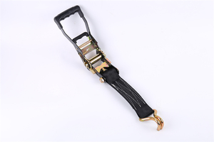 卡车用<span class=keywords><strong>2</strong></span>英寸塑料手柄棘轮系紧带易于运输的软环货物绑扎聚酯背带带挂钩 - Product Image 3