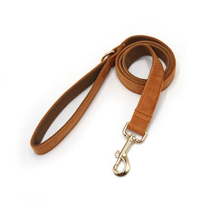 <span class=keywords><strong>2026</strong></span> Populaire trend: zachte fluwelen hondenhalsband met metalen gesp en hondenriem, bloemvormige accessoires kunnen in de halsband worden gedragen - Product Image 6