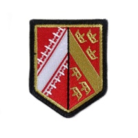 Insignes tactiques de LOGO personnalisé patchs de broderie de patrouille scout avec crochet et boucle en fer