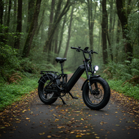 Vélo électrique tout-terrain à suspension haute performance OEM à cadre bas pour la vente
