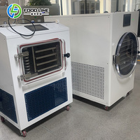 Vacuümtechnologie Fruit Snack Conservering Mini Vriesdroger