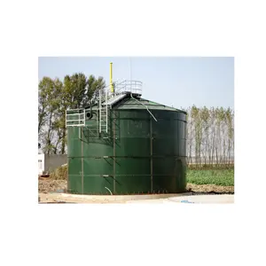 2000 Kubieke Meter En 600m3 Gashouder Capaciteit Biogas Fabriek/Biogas Staal Cstr Digester Biogas Vergister Home