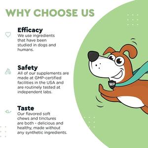 อาหารเสริมน้ำมันปลาสำหรับสัตว์เลี้ยงแบบ OEM/ODM ผสมมิลค์ธิสเซิลและเคอร์คูมิน |   ขวดหยด |   ได้รับการรับรองมาตรฐาน GMP |   การสนับสนุนการล้างพิษตับและไต - Product Image 3