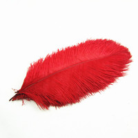 Décoration de robe de carnaval 35-40cm plume d'autruche différentes tailles et couleurs plume d'autruche naturelle