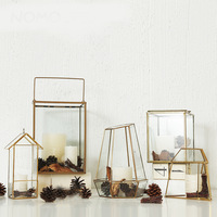 Terrarium en verre moderne avec design géométrique or et noir pour plantes succulentes, cactus, fougères et fleurs décoratives