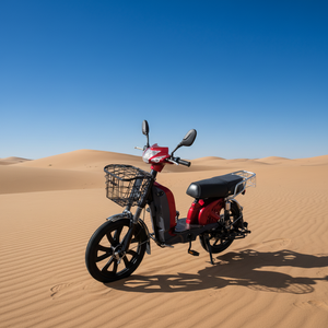 Bici Elettrica da Carico a Lunga Autonomia 350W, Motocarro Elettrico per Adulti - Product Image 1