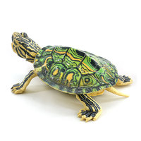 Modèle réaliste en PVC solide d'animal marin, reptile amphibie, tortue brésilienne, jouet et ornement, pour assemblage transfrontalier