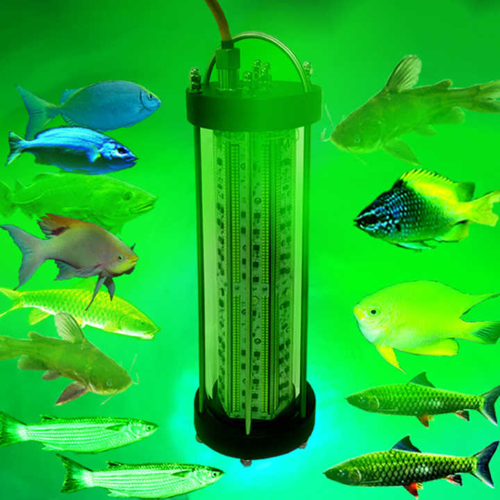 deep ocean fish light lure LED Fishing Underwater Drop Lights Waterproof Diamond Tubular Underwater Fishing Light Attractants for Tuna Swordfish, 10 Pack : Sports & Outdoors Double Attractants with LED Electric clam or underwater lightning