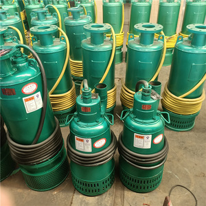 Bomba Sumergible Centrífuga Eléctrica a Prueba de Explosiones para Minas, Tipo BQS, 7.5 HP, para Drenaje de Minas de Carbón - Product Image 3