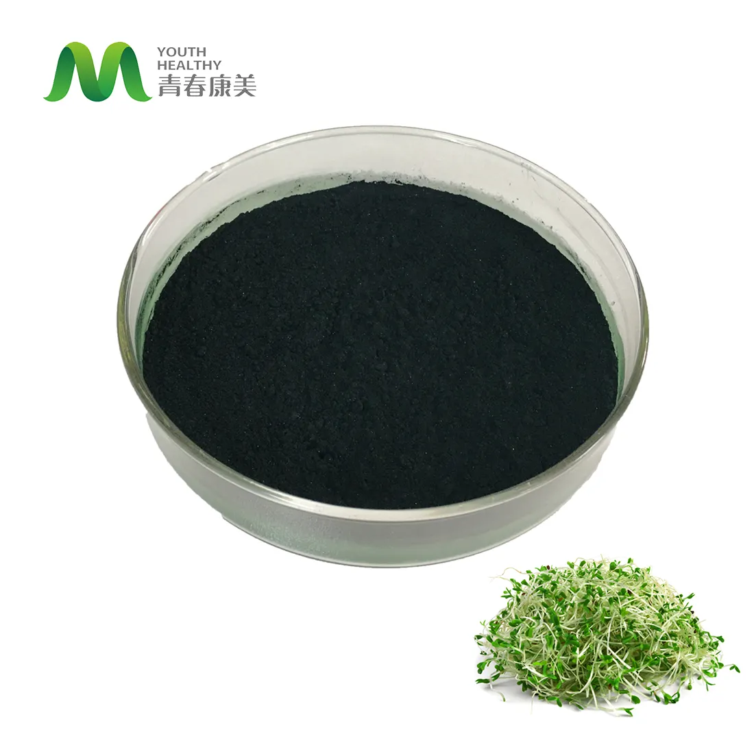 Nước Hòa Tan Pigmentos Comestibles Klorofil Chlorophyll Sodio Clorofilina De Cobre Mulberry Leaf Extract