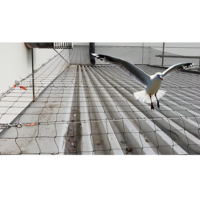 Filet anti-oiseaux agricole robuste filet anti-oiseaux pour jardin raisin filet antiparasitaire pour oiseaux pigeons
