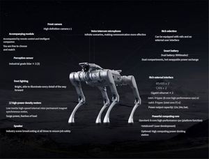 <b>Smart</b> Heavy-Duty Unitree A2 Industrial Robotic Dog with Emergency Stop for Factory Monitoring & Outdoor Technical Operations - Product Image 5