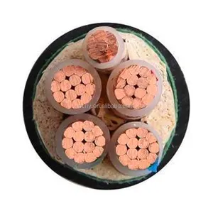 Yjv/ Yjlv/ Yjy XLPE Insulation Stainless Steel Wire Armored Power Cable with Rated Voltage 0.6/1kv