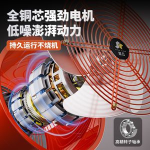Supercloud Axial <b>Flow</b> <b>Exhaust</b> Fan 220V Industrial Ventilation High <b>Power</b> Kitchen Use - Product Image 1