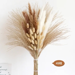 2025 AYOYO Prix raisonnable Mélange <span class=keywords><strong>de</strong></span> plumes moelleuses <span class=keywords><strong>Bouquet</strong></span> <span class=keywords><strong>de</strong></span> <span class=keywords><strong>fleurs</strong></span> séchées sauvages <span class=keywords><strong>Fleurs</strong></span> séchées - Product Image 6
