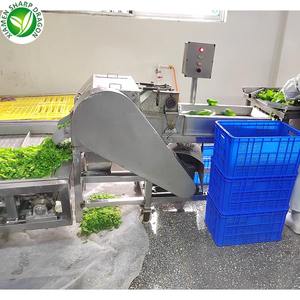 आपूर्तिकर्ता जैविक ग्रीनहाउस फल रंगीन इंद्रधनुष फ्रोजन मिर्च का निर्यात करता है हरी मिर्च, पीला हरा और लाल रंग - Product Image 3