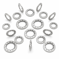 Precision Stainless Steel Internal Serrated Tooth Lock Washers Star Washer DIN 6797J Metric Fasteners Hardware Wholesale