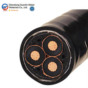 Fabricant ODM/OEM : Câble blindé à âme en cuivre avec double protection en ruban <span class=keywords><strong>d</strong></span>'acier/fil <span class=keywords><strong>d</strong></span>'acier, <span class=keywords><strong>isolation</strong></span> en caoutchouc - Product Image 2