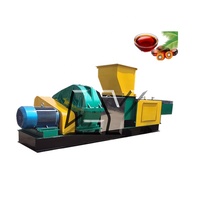 0.5-5 T/h Kleine Mini Palmfruitpers Freesmachine Voor De Verwerking Van De Productie Van De Extractiemachine Palmoliepersmachine