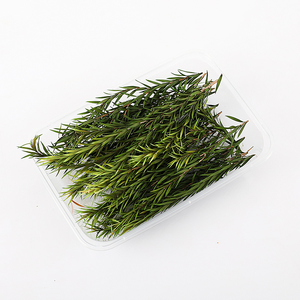Dried Preserved <strong>Eucalyptus</strong> Leaves for Home Stem Photo Props Real <strong>Plant</strong> for Vase Office Wedding DIY Craft Decoration - Product Image 2