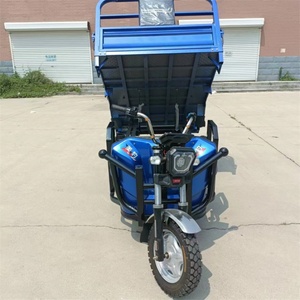 Factory Direct Sales 60V 1000W China Electric Cargo 3 Wheel Tricycle Adult Electric Tricycle for Cheap Sale - Product Image 3
