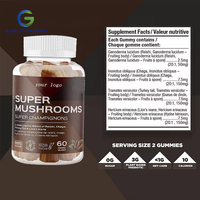 Gommes champignons en vrac OEM Gommes champignons crinière de lion Gommes champignons 10 en 1