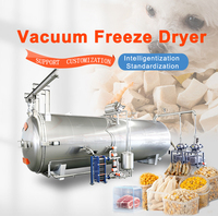 RVS 304 vacuüm energiezuinige machine voor gevriesdroogd fruit (aardbei, bosbes, banaan) ISO9001, rechtstreeks van de fabriek