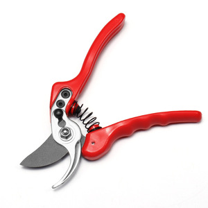Tijeras de jardín de acero inoxidable de 60 mm con cabeza recta para podar árboles frutales y huertos. - Product Image 2