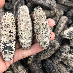 Cao Cấp Bán Buôn Nam Mỹ Khô Biển Dưa Chuột - Product Image 5