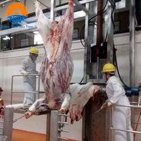 Projets clés en main d'abattoirs halal automatiques pour bovins : équipement complet de ligne d'abattage, machines de traitement du bétail