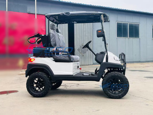 Nouveau modèle 2026 : Voiturette de golf électrique biplace, véhicule électrique populaire, véhicule électrique de tourisme - Product Image 1