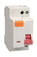 Disjoncteur HOQele DZ30-LE TPNL à boîtier moulé 230V 2P Mini en plastique pour usage domestique, capacité de coupure 4kA, 50/60Hz, courbe C, montage sur rail DIN