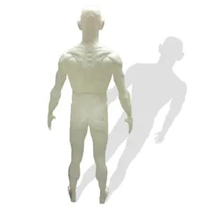 3D打印人体肌肉模型，制作树脂模型，定制独特物品PU设计师玩具
