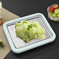 Plaque à glace portable de qualité alimentaire, non électrique, mignonne, en acier inoxydable 304, pour enfants