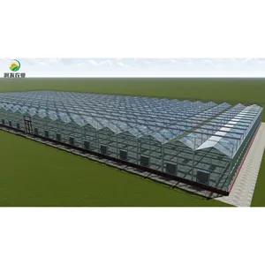 Intelligent 168m x 120m Multi-Span Greenhouse With Vertical Farming Grow Hydroponic System Greenhouses