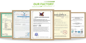 Hot Custom Logo Alpha GPC L-Theanine Brain <span class=keywords><strong>Supplements</strong></span> Boost Concentration <span class=keywords><strong>Memory</strong></span> para adultos y mujeres embarazadas - Product Image 4