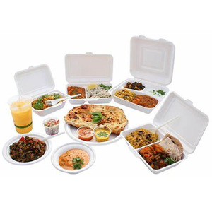 Biodegradable Sugarcane Bamboo Fiber Pulp Food Tray Sugarcane Bagasse Lunch Box with Lid
