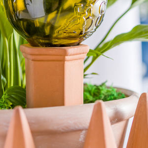 Estacas de <span class=keywords><strong>Autorriego</strong></span> <span class=keywords><strong>para</strong></span> Plantas, Dispositivos de Riego Automático de Terracota, Sistema de Riego Automático - Product Image 4