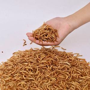 Vermi della farina secchi <span class=keywords><strong>Tenebrio</strong></span> Molitor per rettili di criceto e altri piccoli animali - Product Image 1