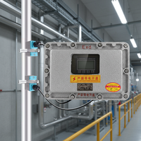 Convertisseur de débitmètre ultrasonique antidéflagrant pour liquides aqueux |   Certifié Exd II BT5 |   Support mural |   Hôte multi-canaux |