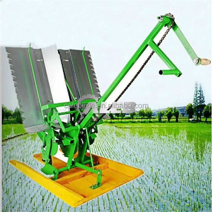 苗植え機 二列同時植え機 苗植え機 二列同時植え機 自走式2列苗移植機2列野菜移植機野菜苗移植機