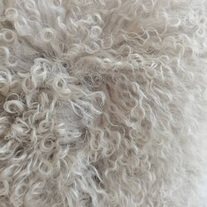 2025 Örnek Destek Fabrikası Doğrudan Satış Yüksek Kaliteli Tibet Moğol Çok Yumuşak Kuzu Kürkü Bej Minderler/yastıklar - Product Image 3